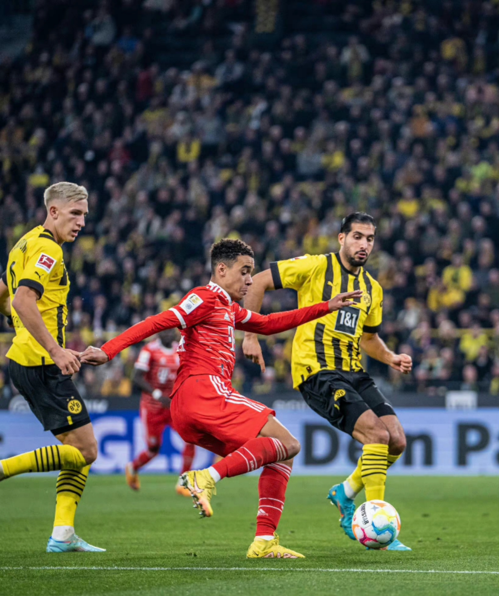 爱游戏官网-2024猛龙队球员名单