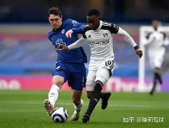 爱游戏游戏平台-富勒姆球队图片