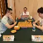 罗马战马